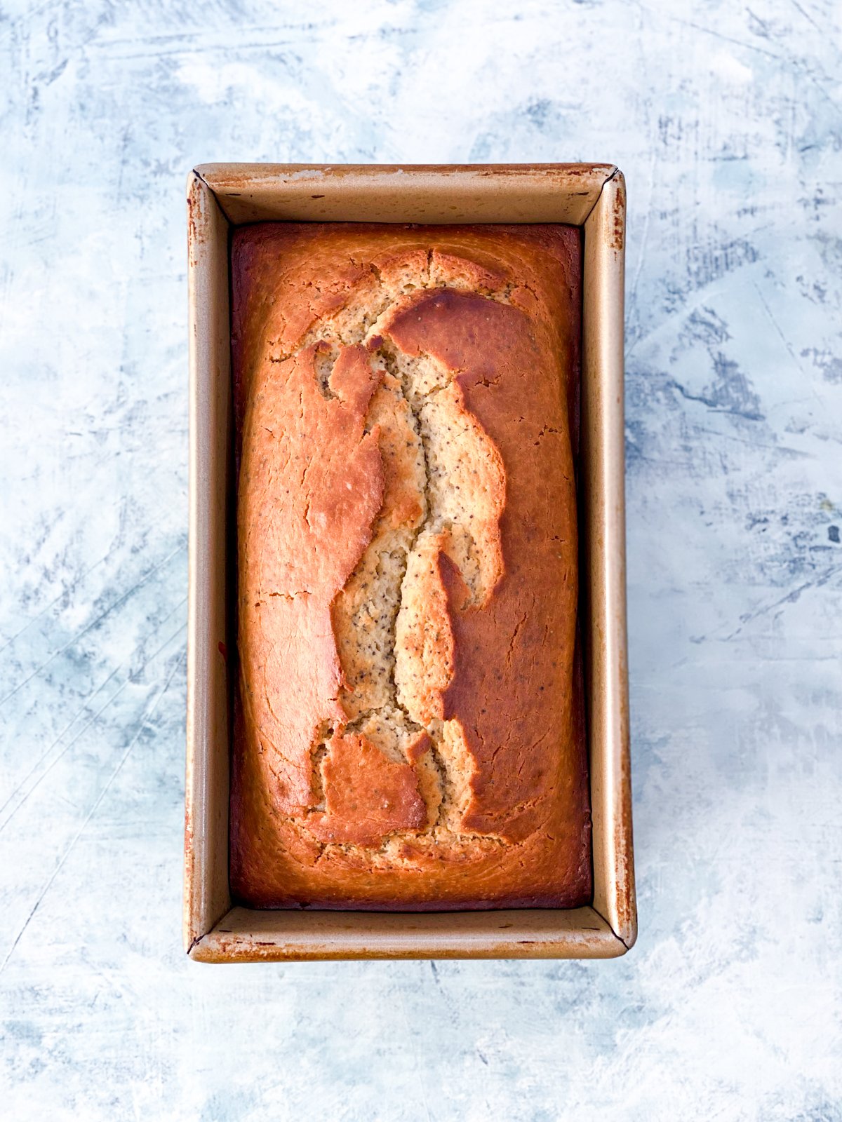 Grapefruit Poppyseed Loaf Cake The Salted Sweets