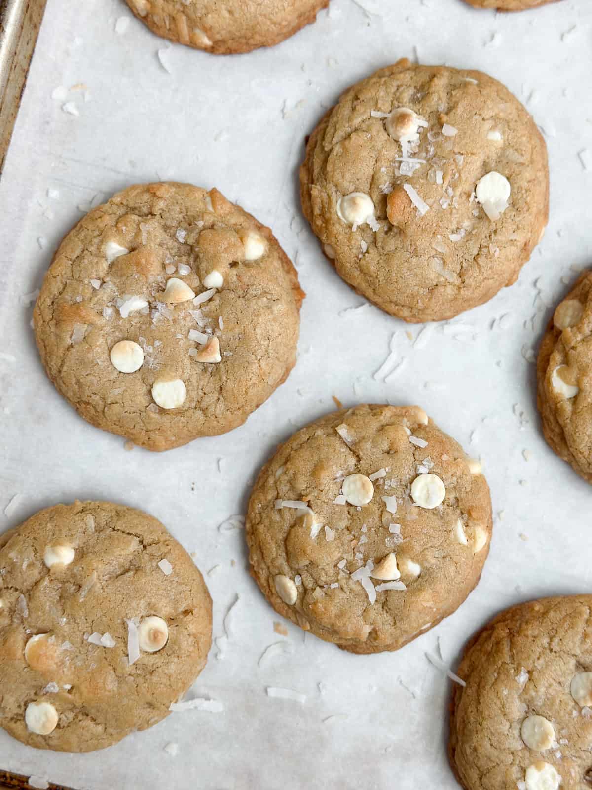 a bunch of white chocolate cookies on a cookie sheet after baking.