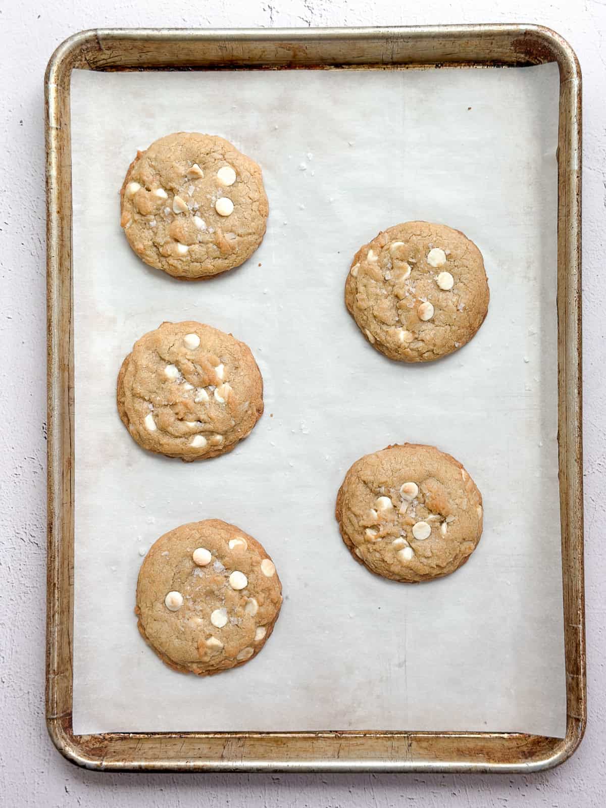 cookies on baking sheet after baking.