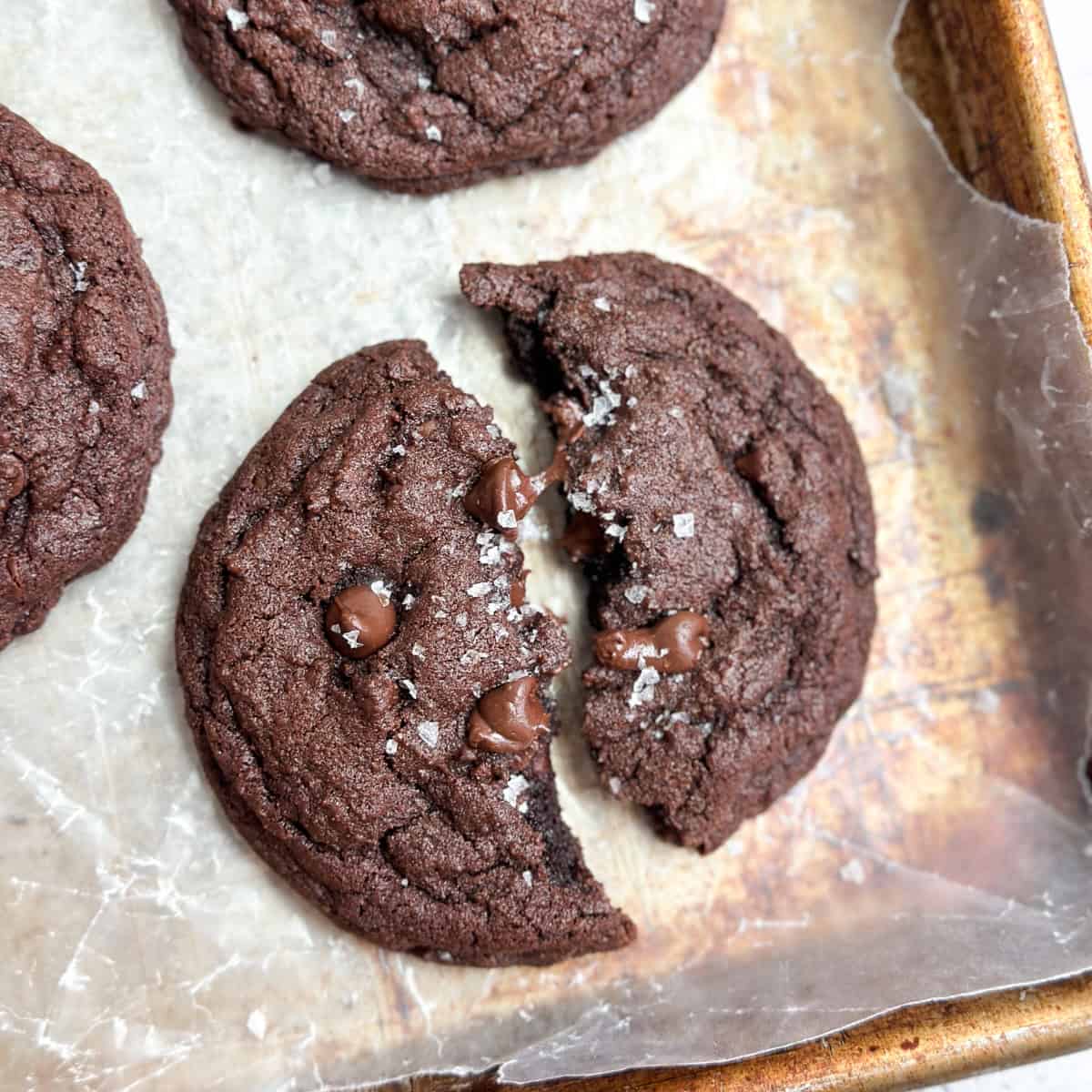 Small Batch Chocolate Cookies - The Salted Sweets