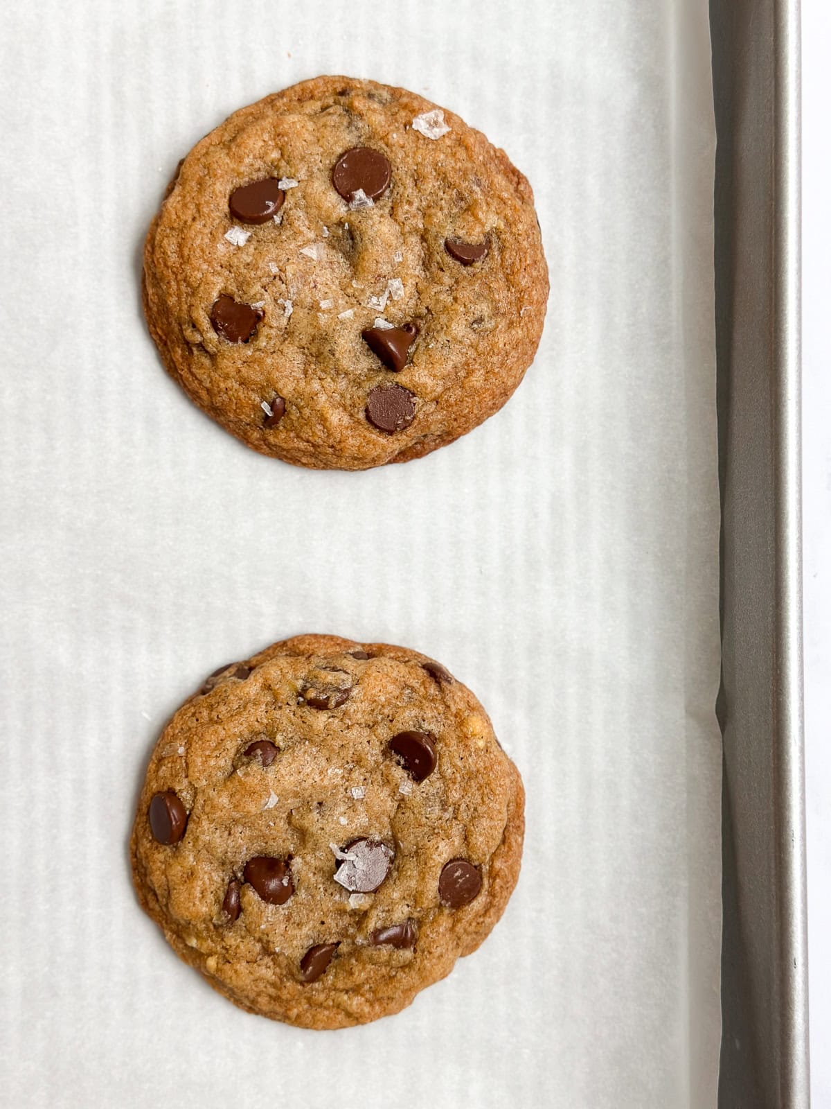 a close up of some chocolate chip banana cookies right after baking.
