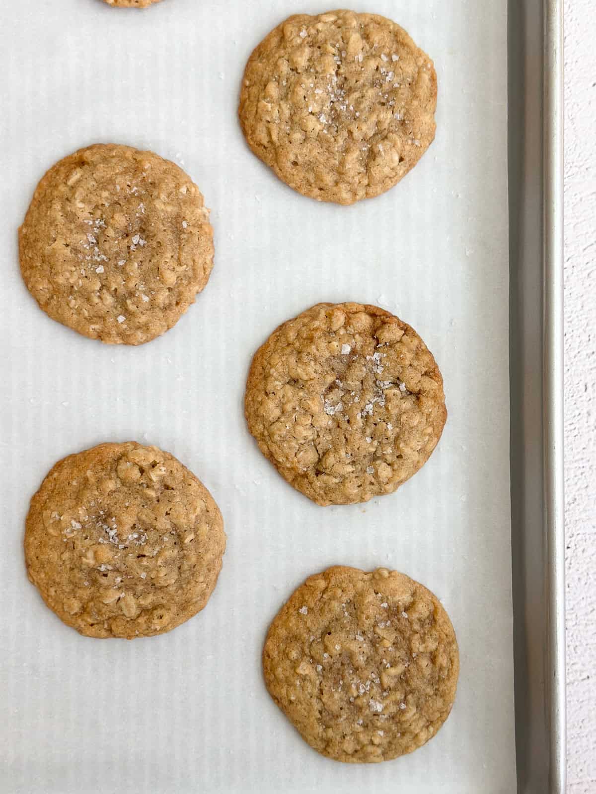 oatmeal cream pie cookies after baking.