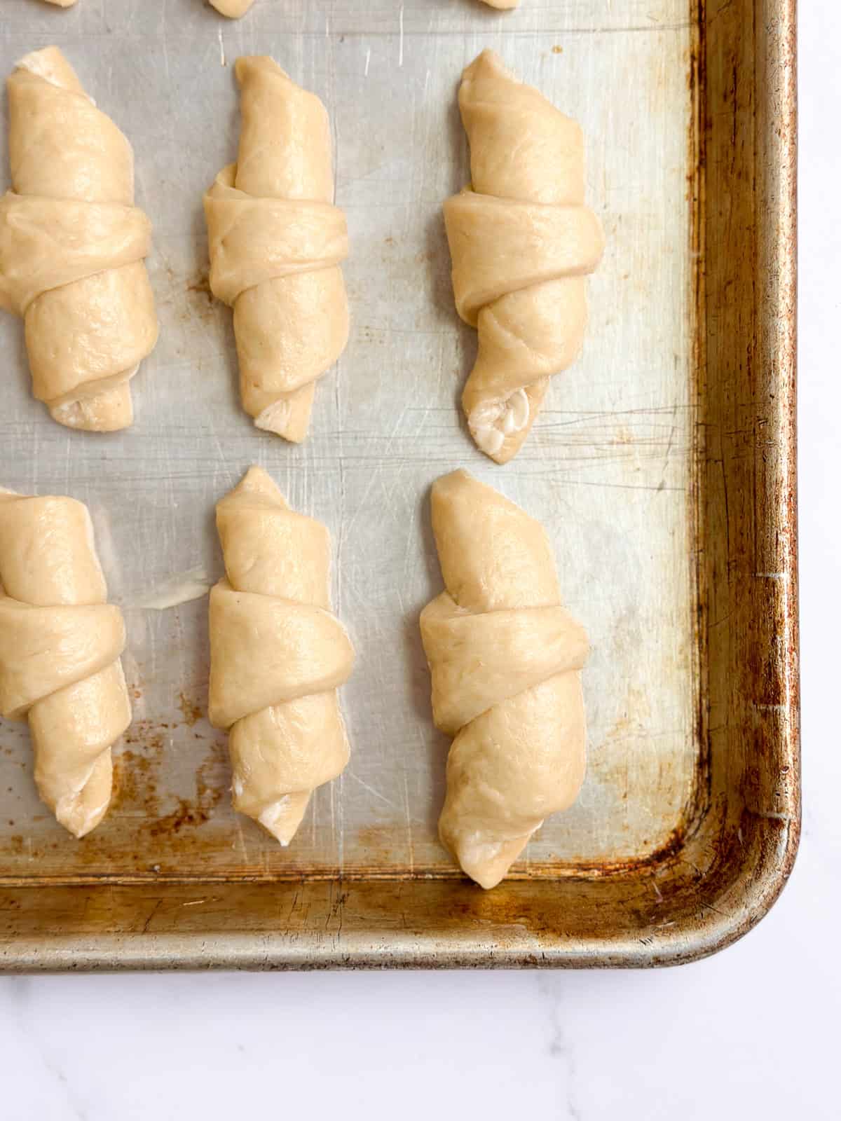 the dinner rolls before their second rise.