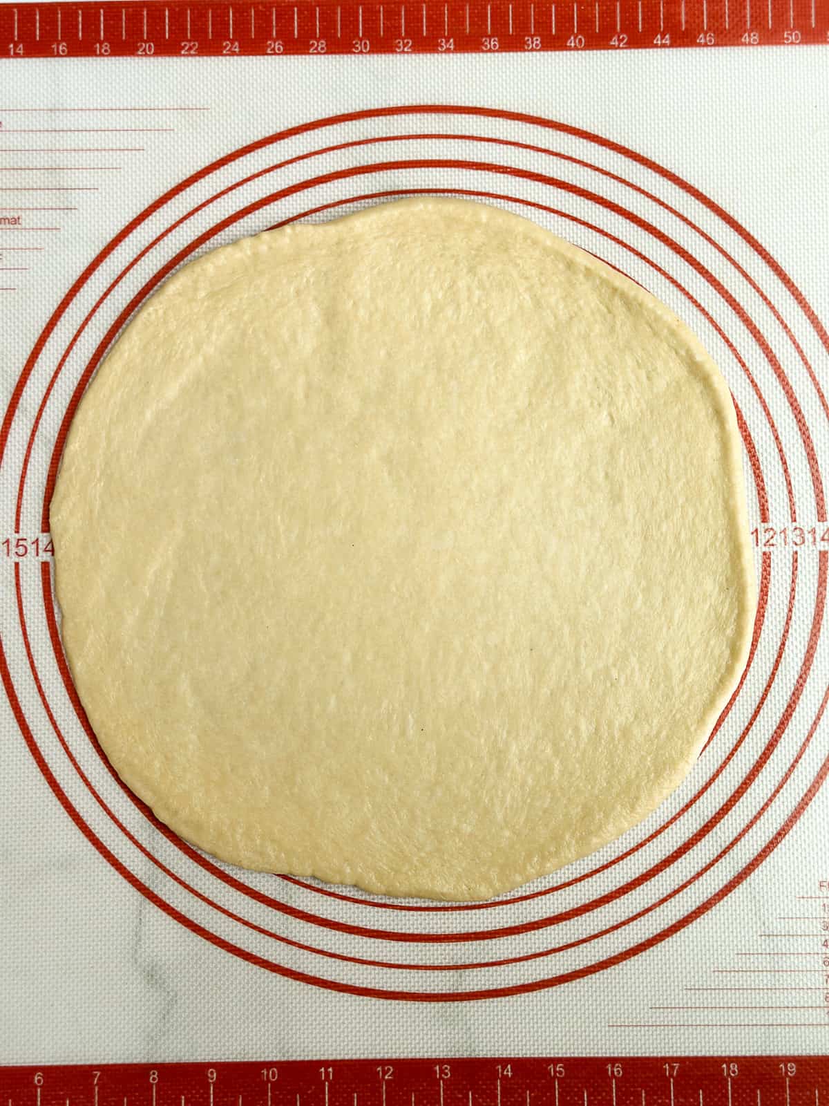 one dough ball rolled into a circle.