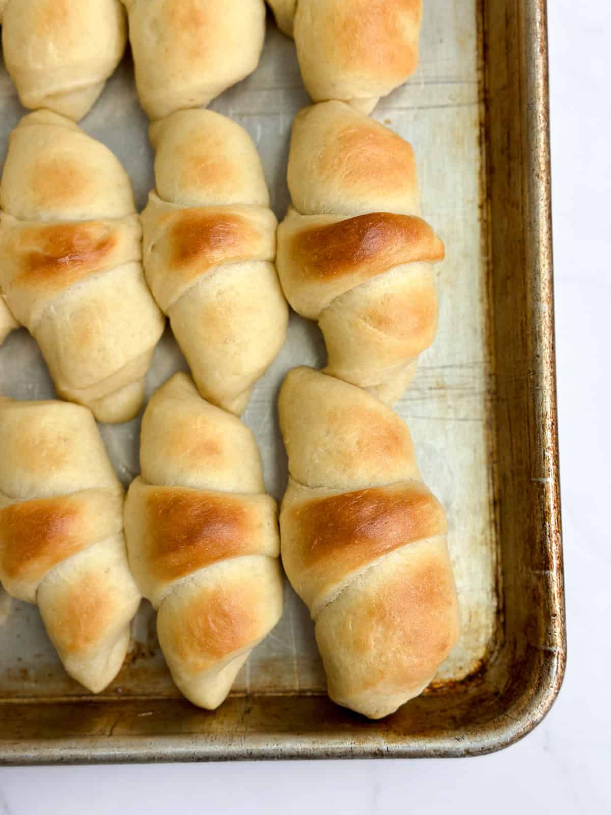 a closeup of the homemade buttery dinner rolls after baking.