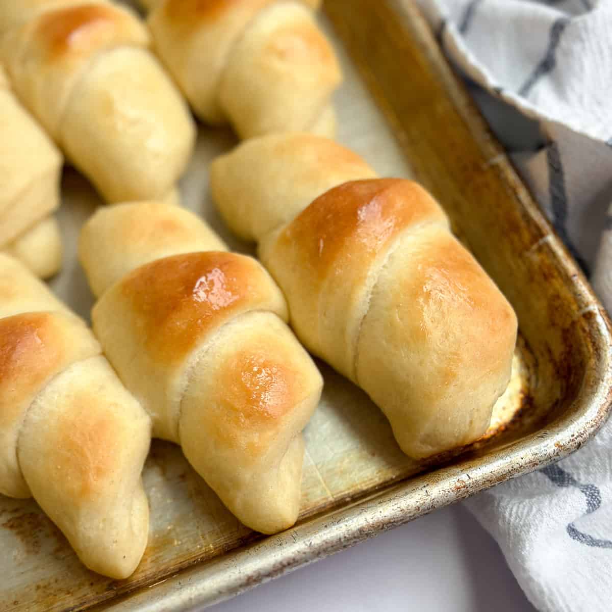 Buttery Homemade Rolls - The Salted Sweets