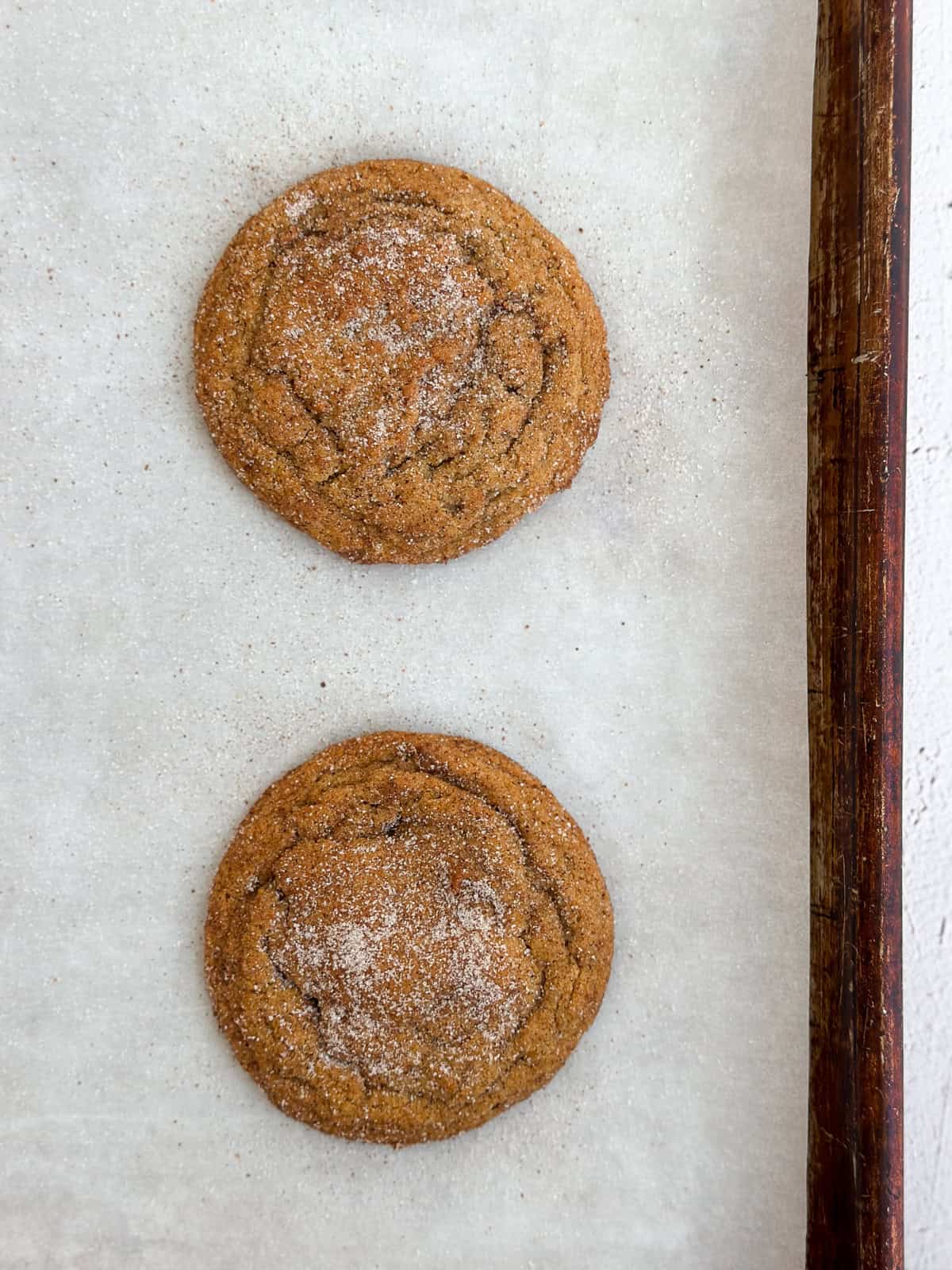 fresh gingerbread snickerdoodle on baking sheet after baking.