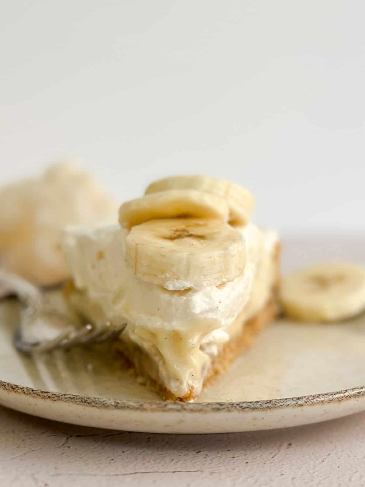 a close up of a slice of the pie.