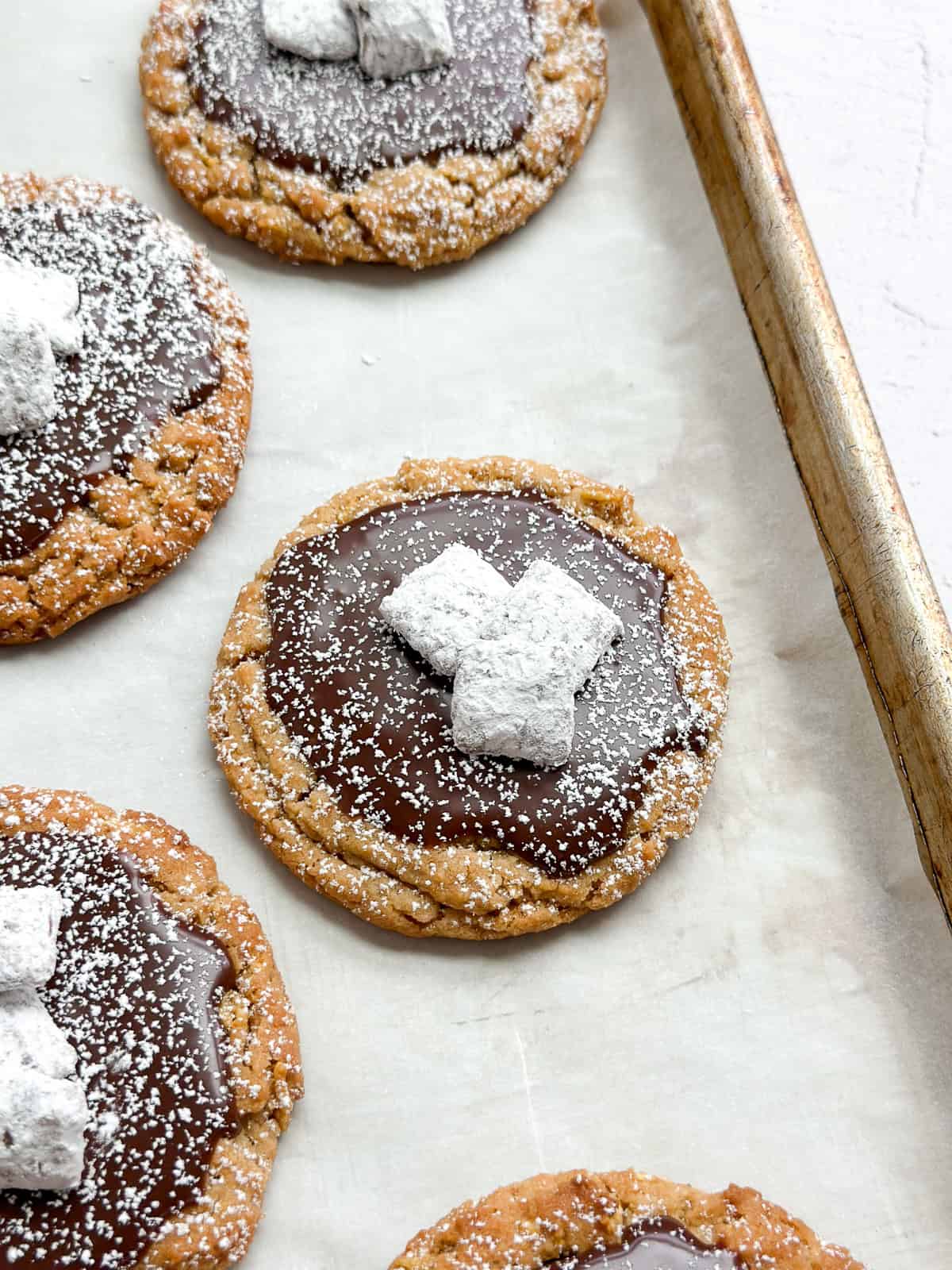 a side view of a puppy chow cookie.