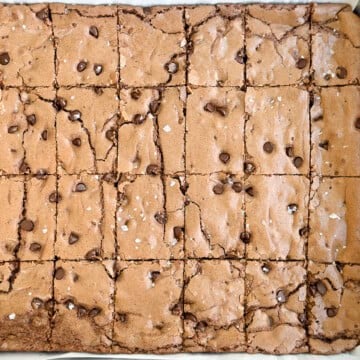 close up of sheet pan brownies cut in the pan.