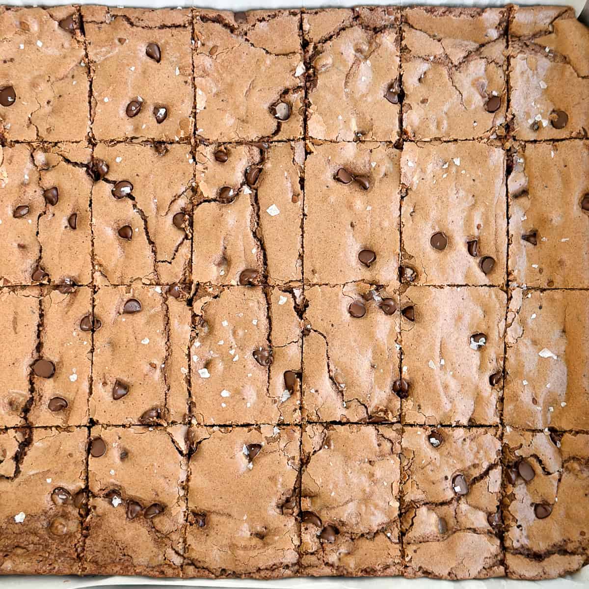 close up of sheet pan brownies cut in the pan.