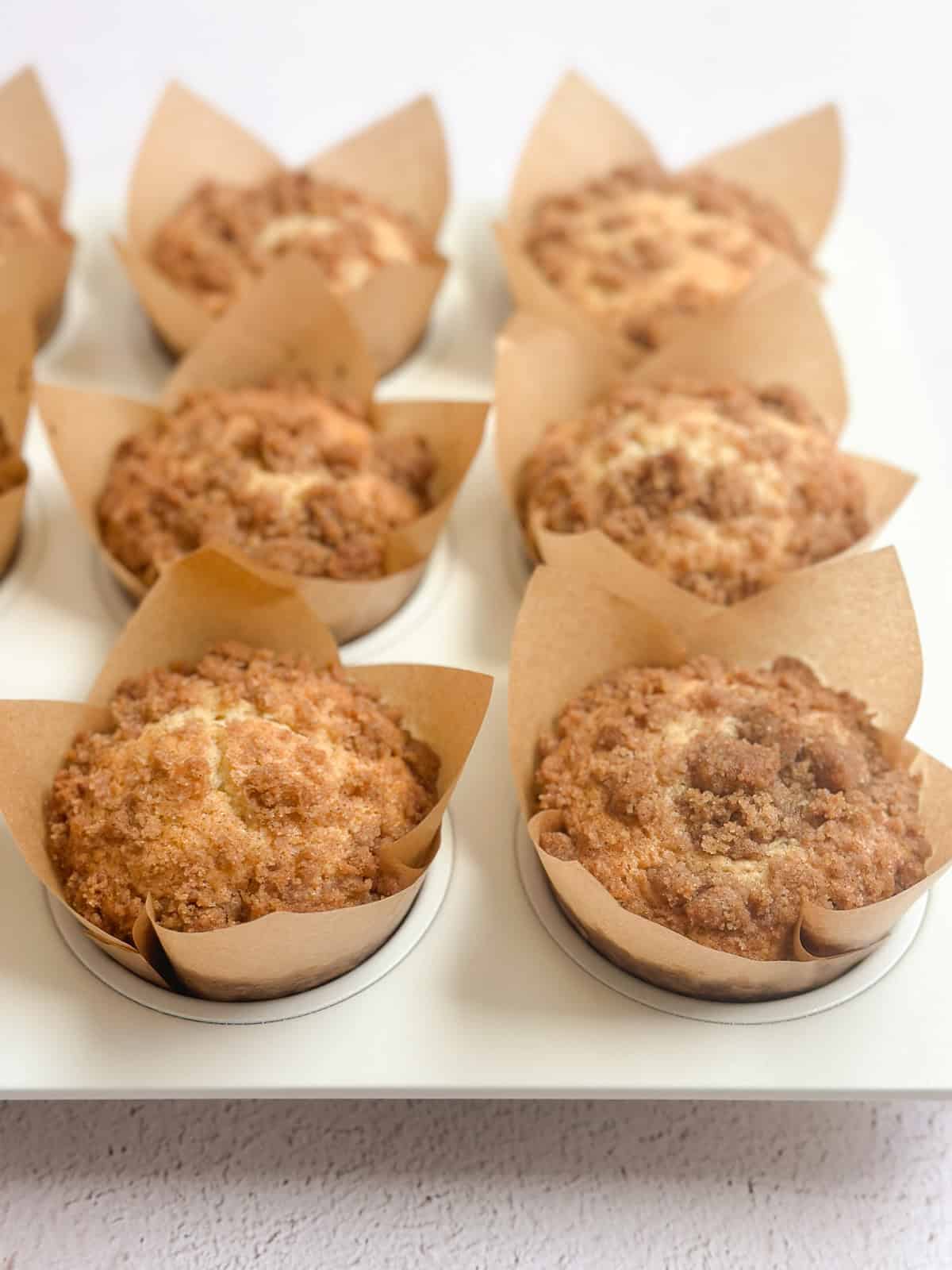 a side view of the m muffins after they baked.