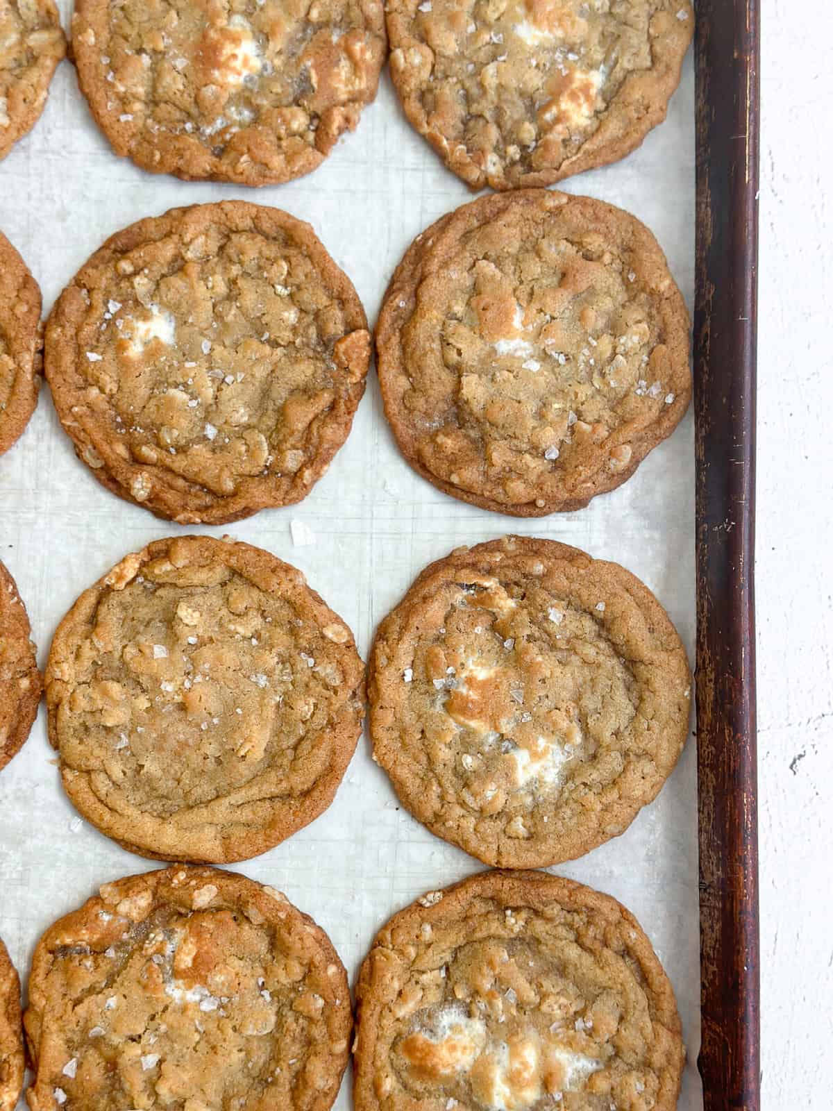 a bunch of the marshmallow crispy cookies in a row.
