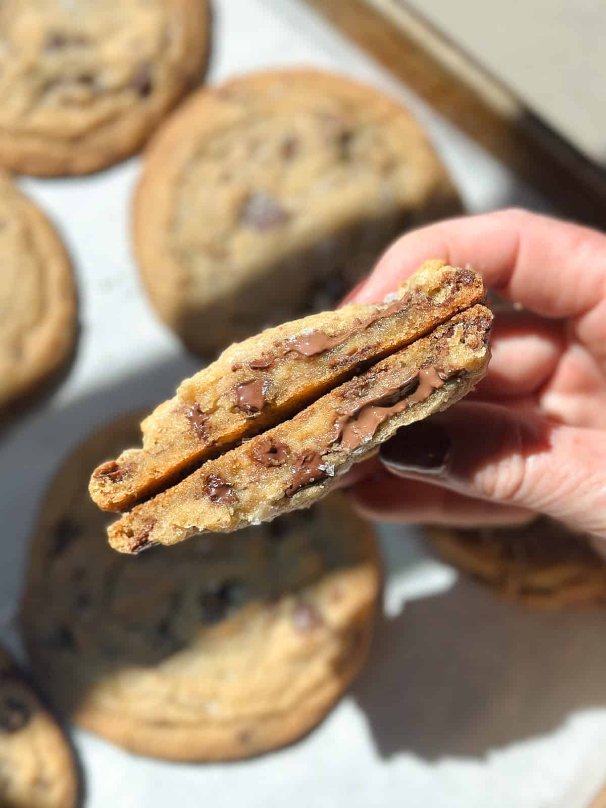 a close up of a cookie broken in half to see the inside texture.