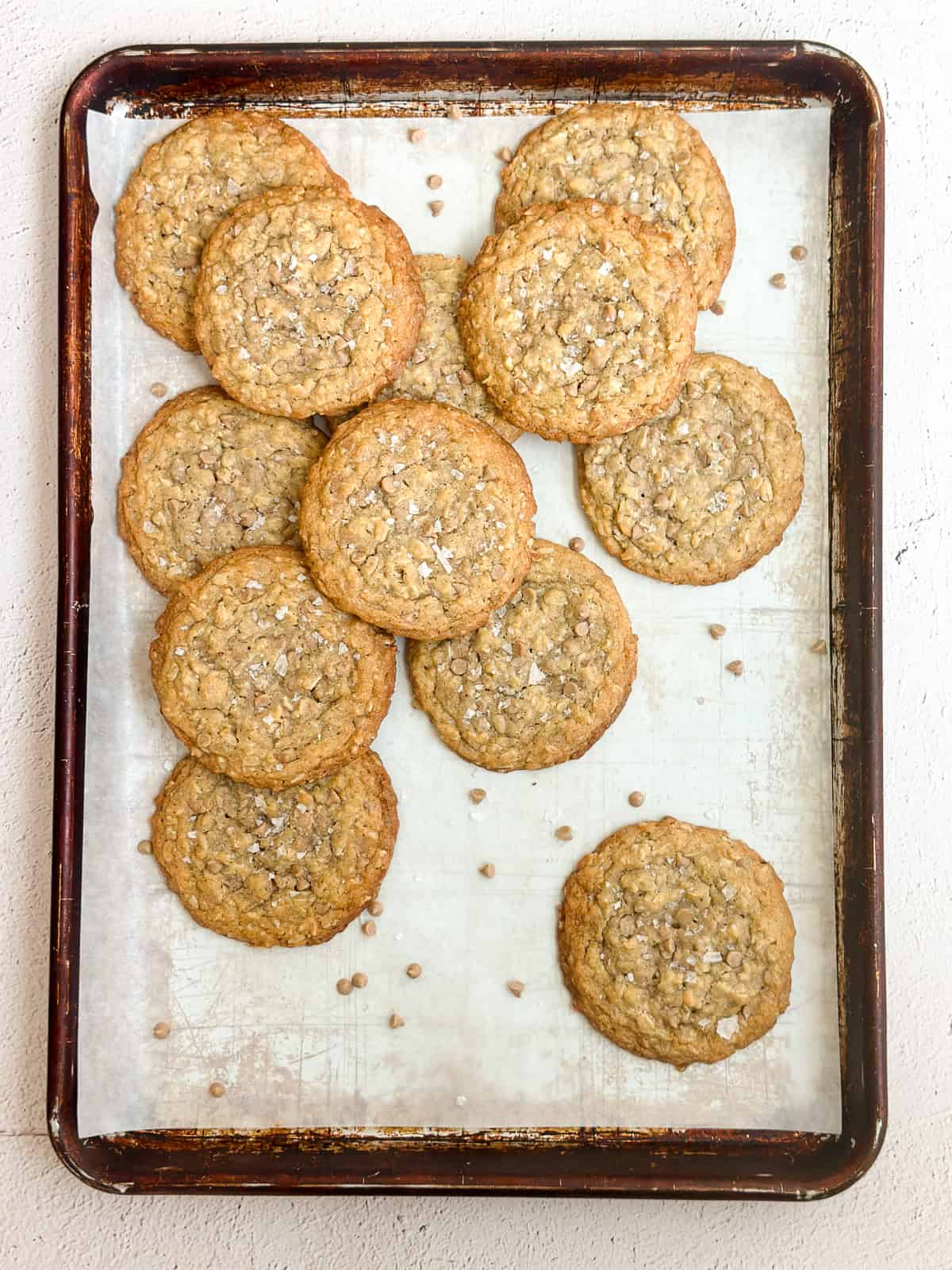 the whole sheet pan of cinnamon chip oatmeal cookies after baking.