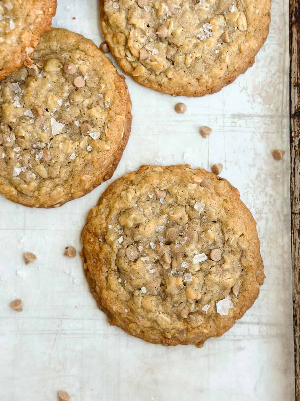 a close up of a cinnamon chip oatmeal cookie.
