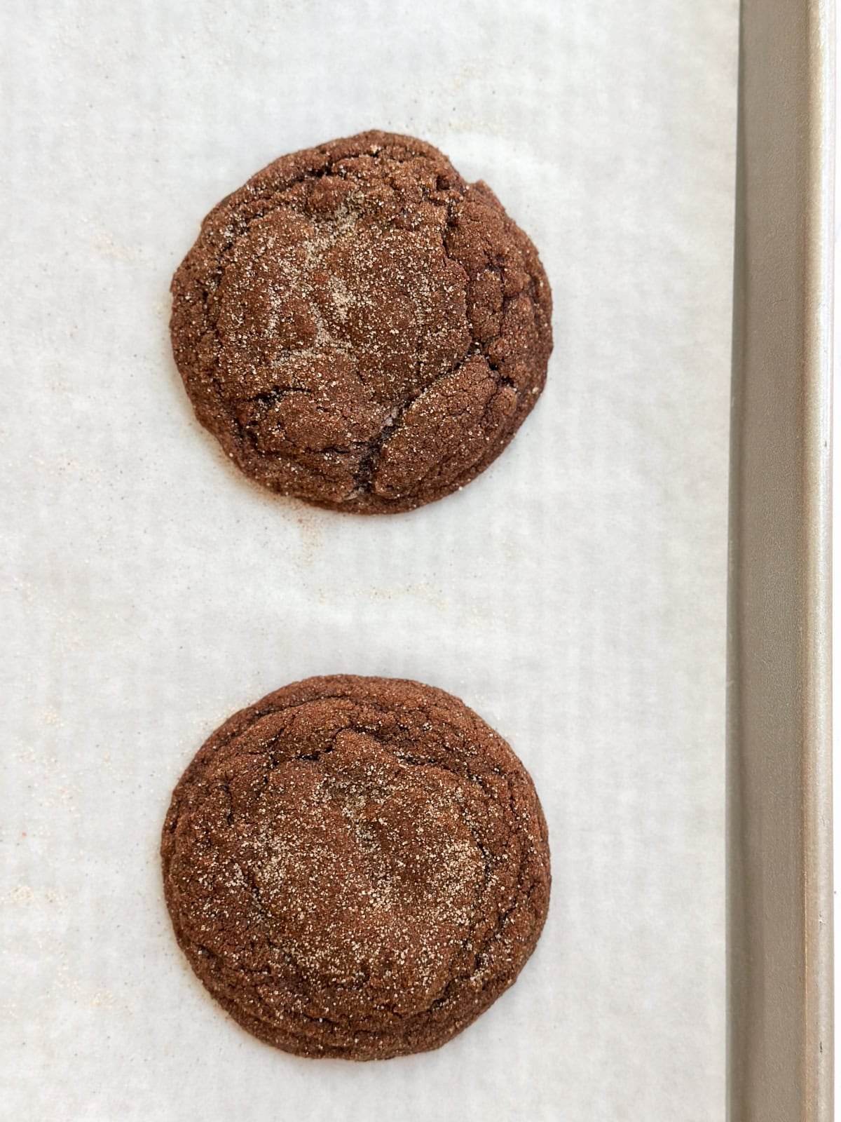fresh chocolate snicerdoodle cookies right after baking.