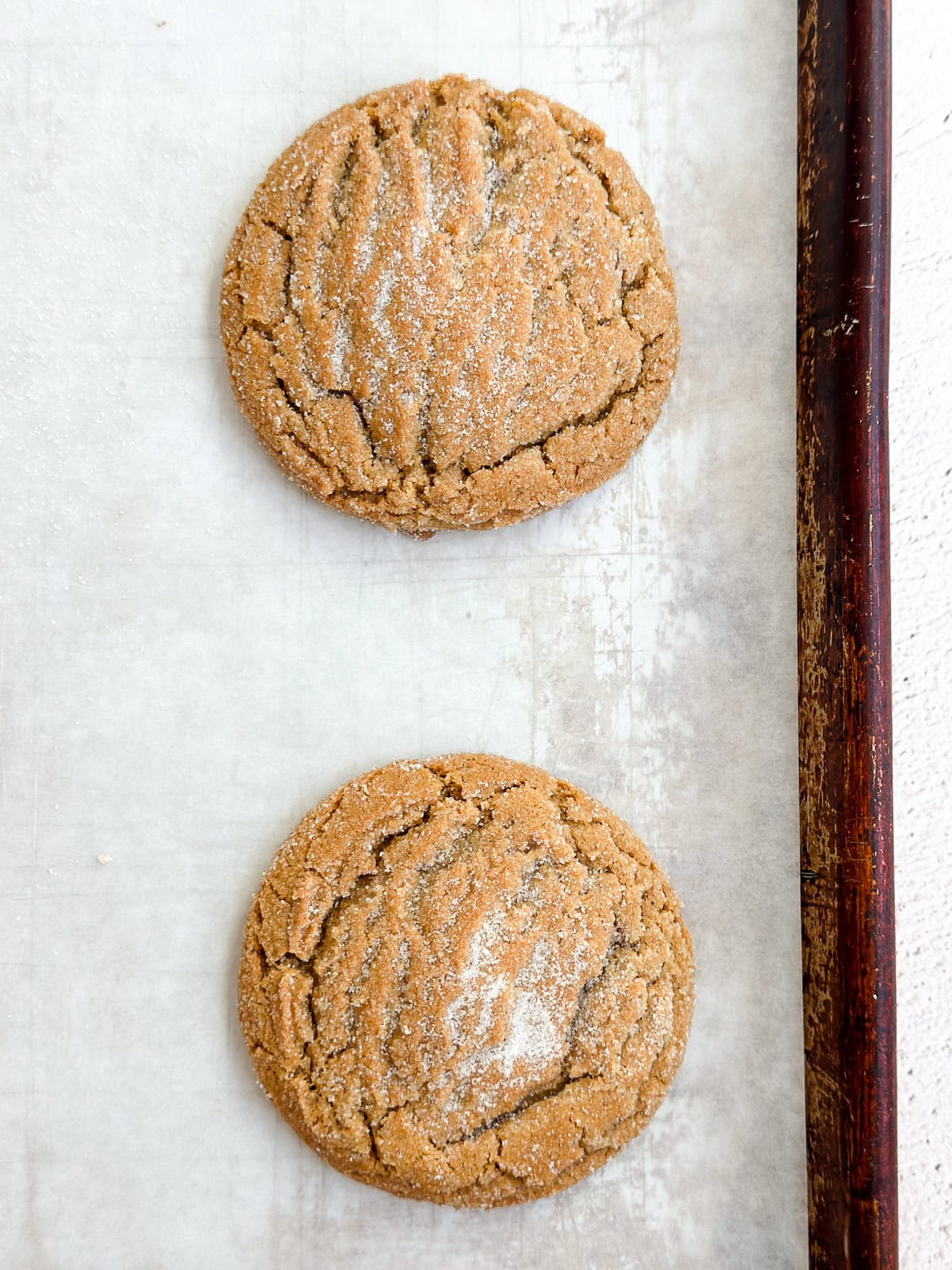 fresh chewy ginger molasses cookies right after baking.