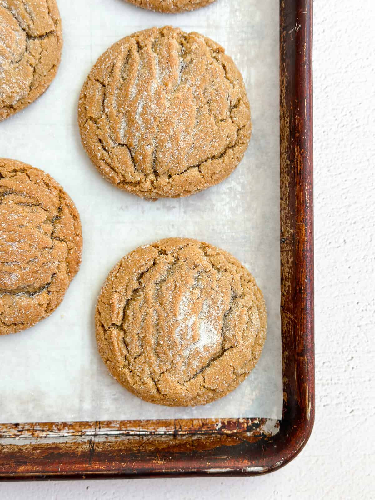 a close up of a chewy ginger molasses cookies so you can see the texture.