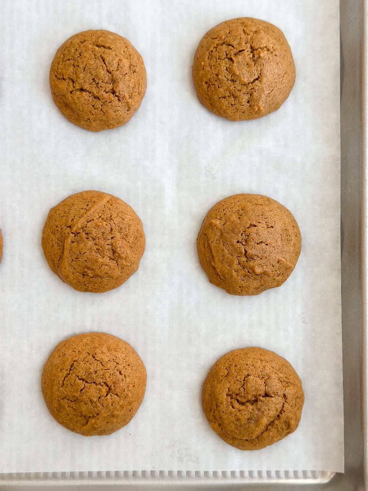 gingerbread cookies right after baking.