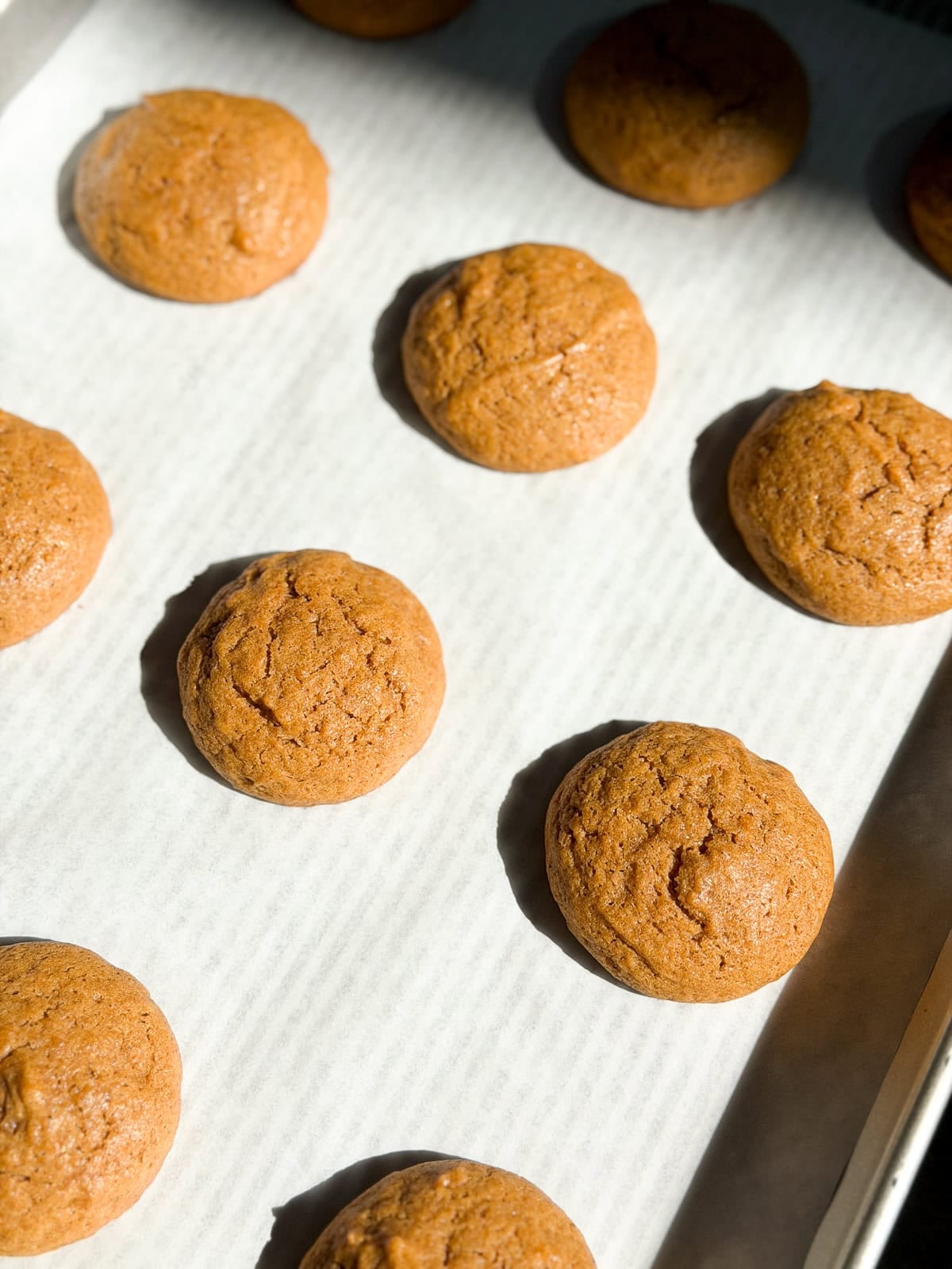 the gingerbread cookies right after baking before being made into sandwiches.
