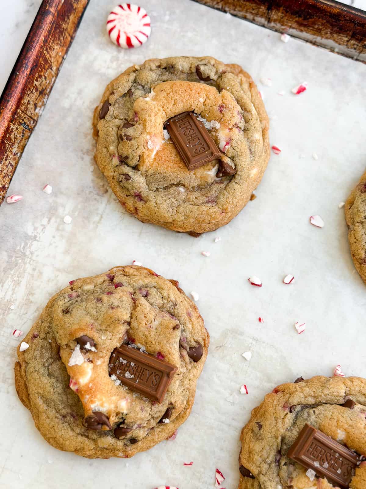 a close up of a peppermint s'mores cookie on a cookie sheet.