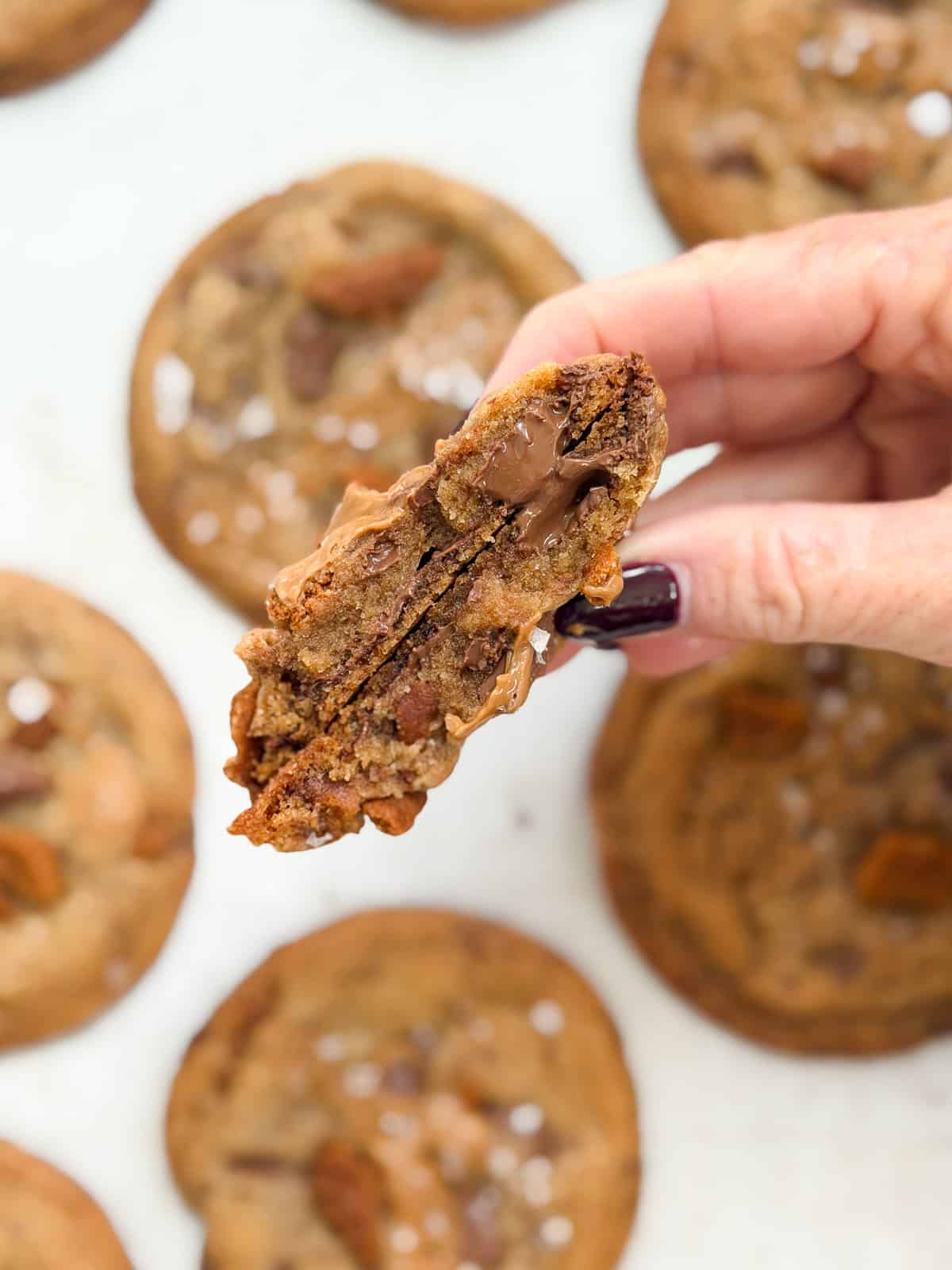 a biscoff chocolate chip cookie broken in half to see the inside texture.