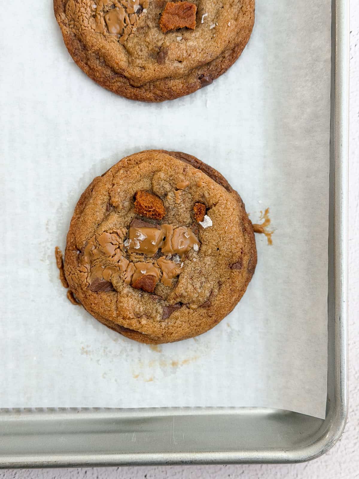 a freshly baked biscof chocolate chip cookie on a baking sheet.