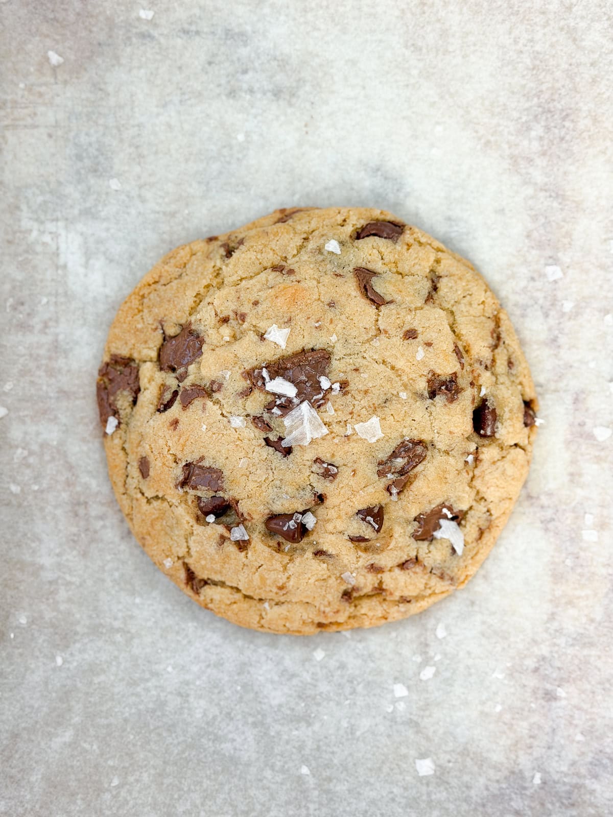a close up of the whole single serve chocolate chip cookie.