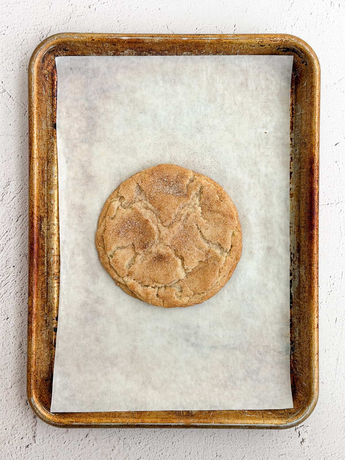 a fresh snickerdoodle cookie right after baking.