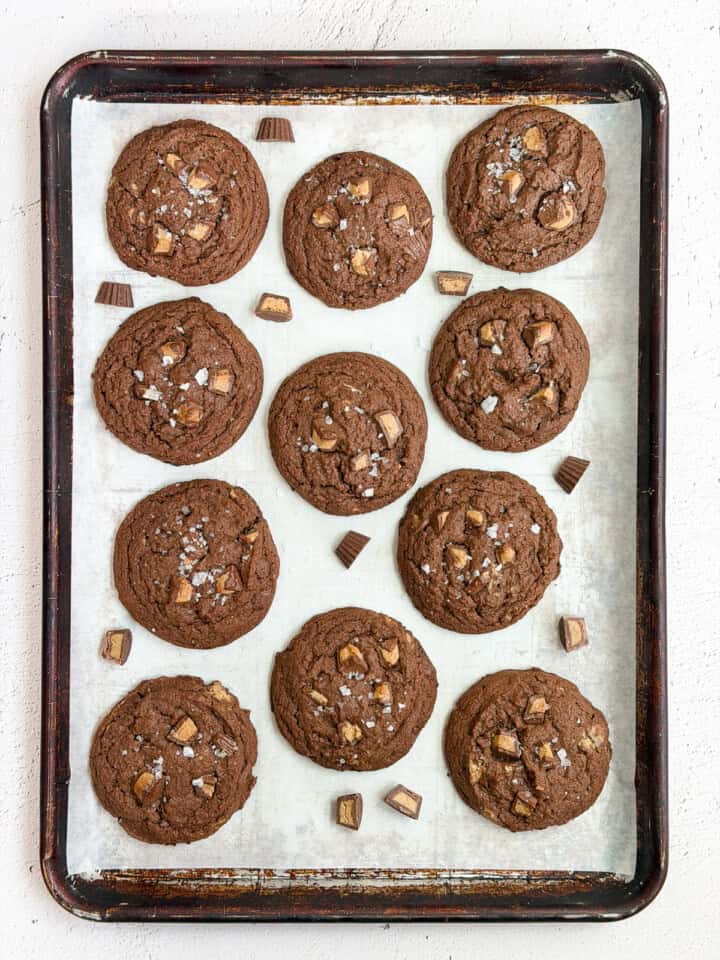 All the chocolate peanut butter cookies on a baking sheet after baking.