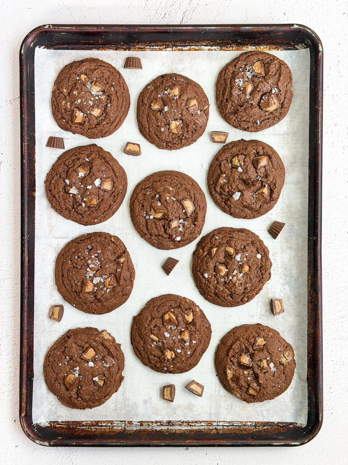 All the chocolate peanut butter cookies on a baking sheet after baking.