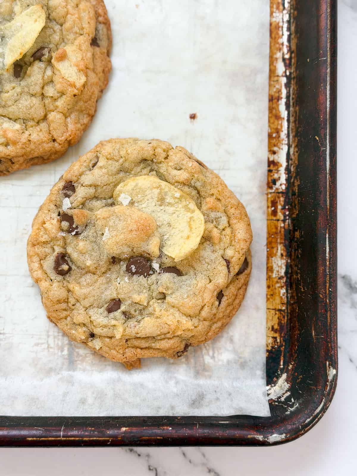 a closeup of a chocolate chip potato chip cookie with a potato chip coming out the top.